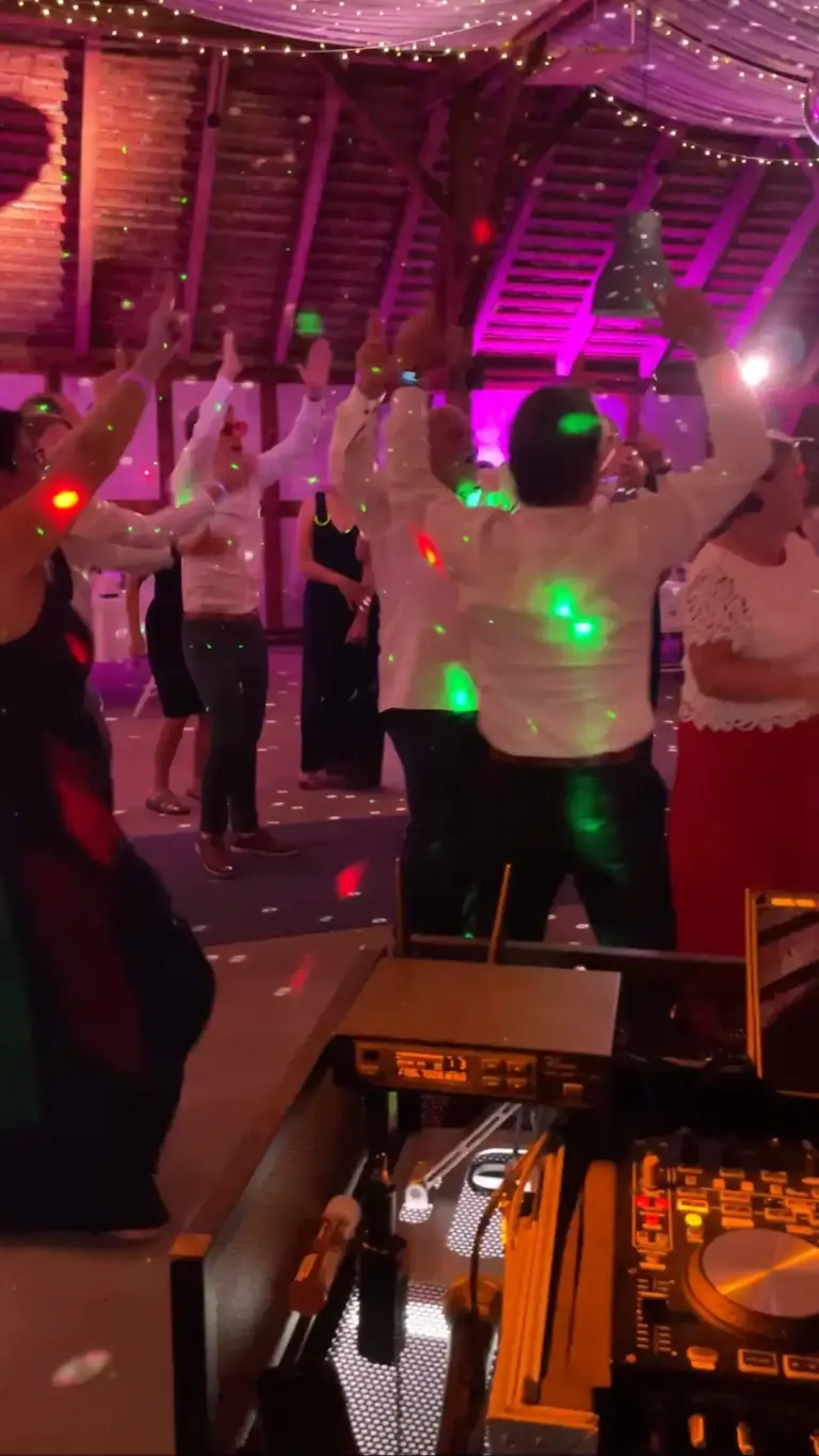 hands-up-und-stimmung-mit-hochzeits-dj